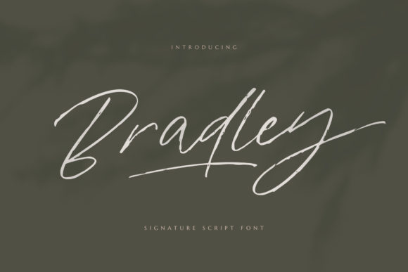 Bradley Font: A Script Typeface for Digital Branding and Web Design