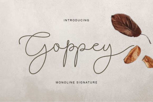 Goppey: A Delicate Script Font