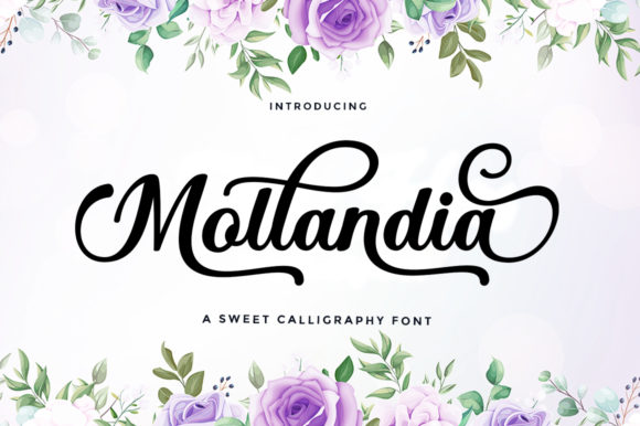 Mollandia: A Handwritten Typeface for Romantic Web Design